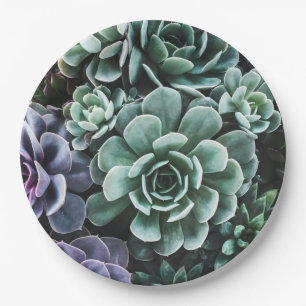 Assiettes En Carton La nature Plante verte Succulente