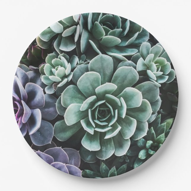 Assiettes En Carton La nature Plante verte Succulente (Devant)