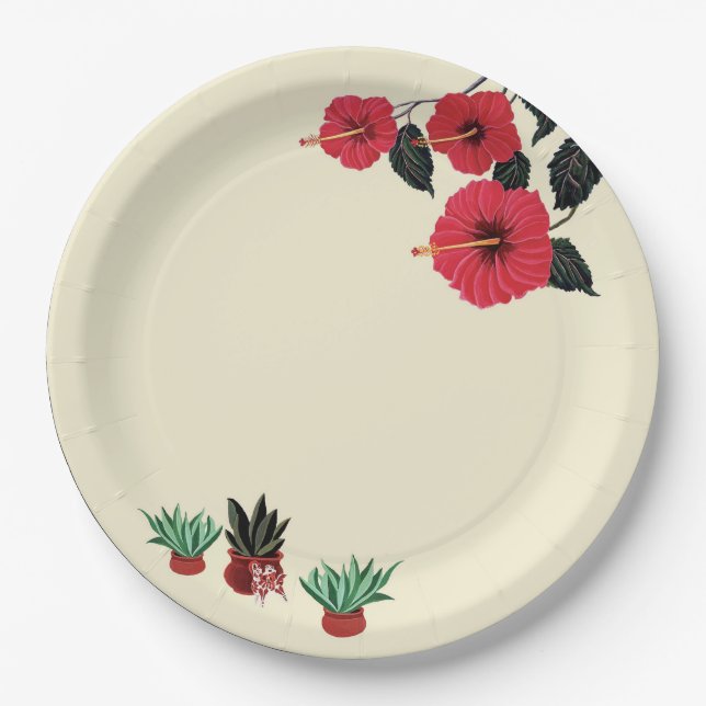 Assiettes En Carton La Paz (Devant)