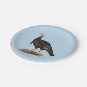 Assiettes En Carton La Turquie :  Tom sauvage oriental