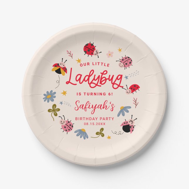Assiettes En Carton Ladybug fête d'été (Devant)