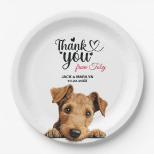 Assiettes En Carton Lakeland Terrier