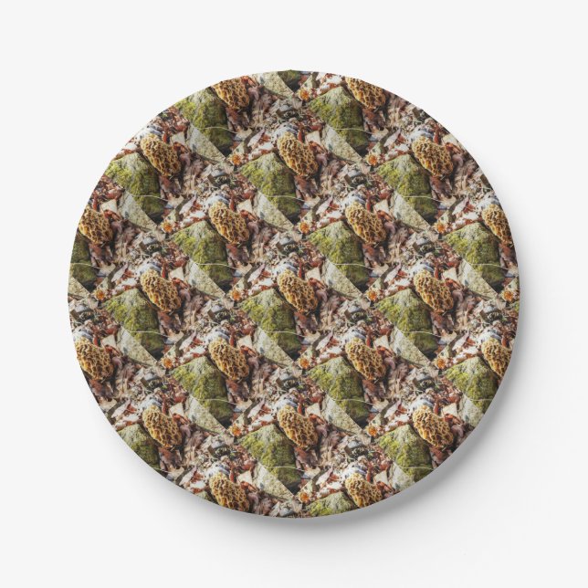 Assiettes En Carton Le champignon Morel dans la nature (Devant)