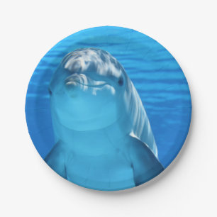 Assiettes En Carton Le dauphin de Bottlenose regarde l'appareil-photo