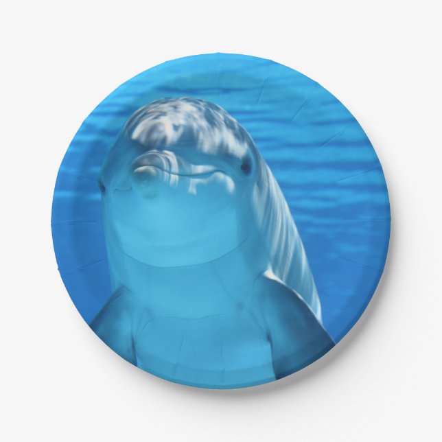 Assiettes En Carton Le dauphin de Bottlenose regarde l'appareil-photo (Devant)