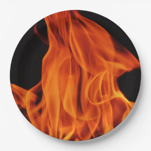 Assiettes En Carton Le feu de BBQ flambe les plaques à papier jetable