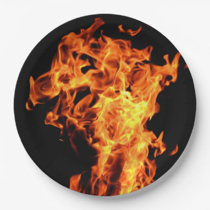 Assiettes En Carton Le feu de BBQ flambe les plaques à papier jetable