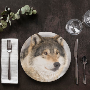 Assiettes En Carton Le garçon d'anniversaire Wolf