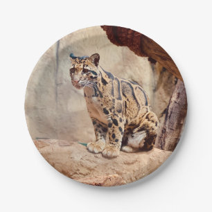 Assiettes En Carton léopard nébuleux image nature faune exotique