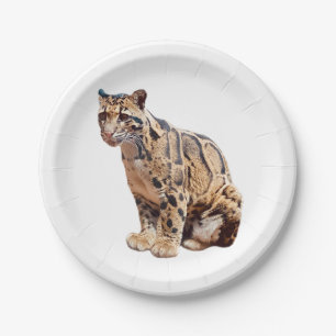 Assiettes En Carton léopard nébuleux photographie jungle grand félin a
