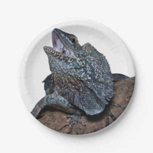 Assiettes En Carton lézard de Frilled-cou