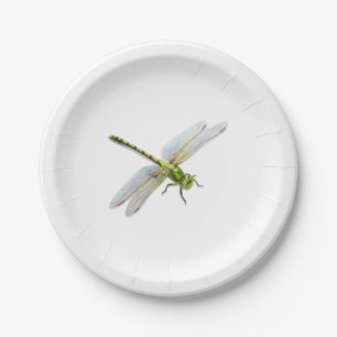 Assiettes En Carton libellule