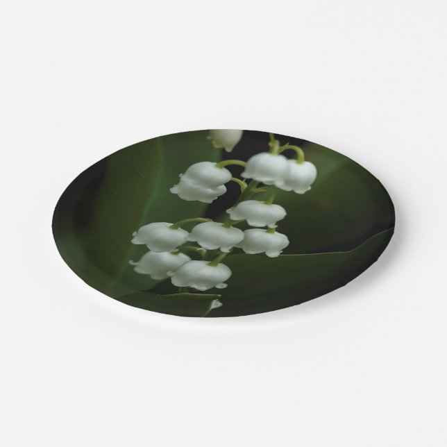 Assiettes En Carton Lily de la vallée-0308 (Angle)