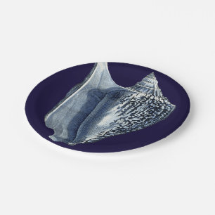 Assiettes En Carton L'indigo écosse I