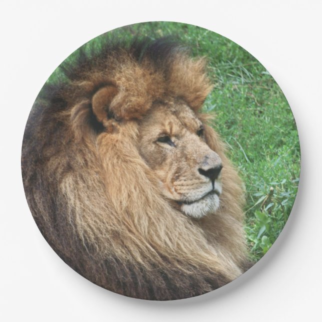 Assiettes En Carton Lion 001 (Devant)