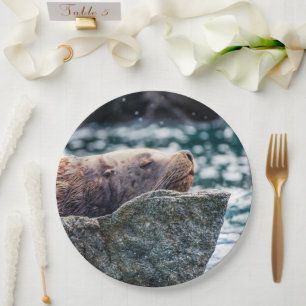 Assiettes En Carton Lion De Mer Dans La Baie De Résurrection, Alaska