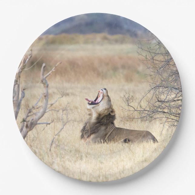 Assiettes En Carton Lion de Yawning (Devant)