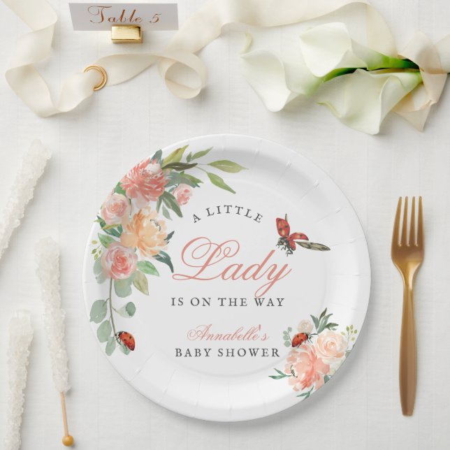 Assiettes En Carton Little Lady Ladybug Roses Girl Baby Shower (Mariage)