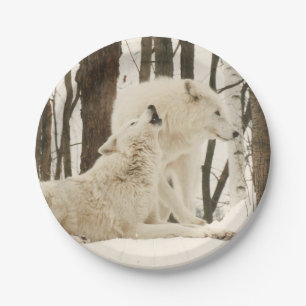 Assiettes En Carton Loups de l'Arctique dans les plaques de papier d'h