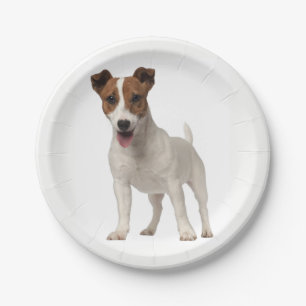Assiettes En Carton Love Jack Russel Terrier Puppy Dog Plaques de papi