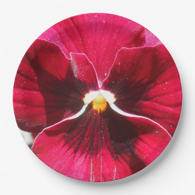 Assiettes En Carton Lucrezia (Devant)