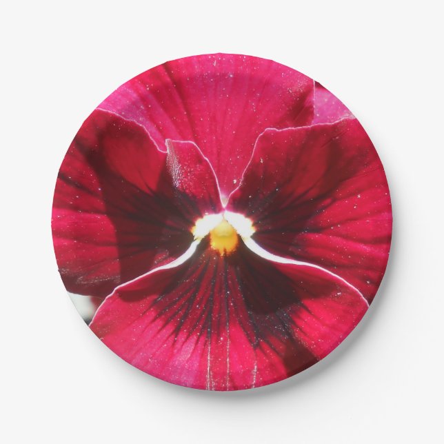 Assiettes En Carton Lucrezia (Devant)