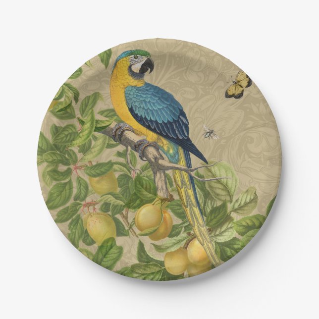 Assiettes En Carton Macaw Blue Jaune Tropical Jungle Antique (Devant)