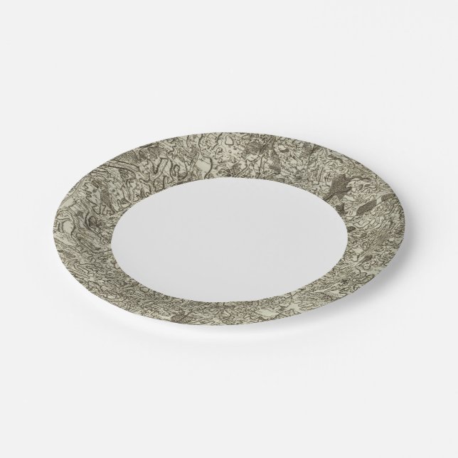 Assiettes En Carton Macon (Angle)