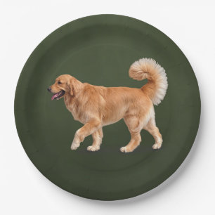 Assiettes En Carton Magnifique Golden Retriever