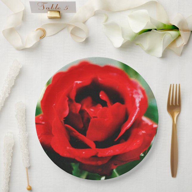 Assiettes En Carton Magnifique Rose rouge amour (Mariage)