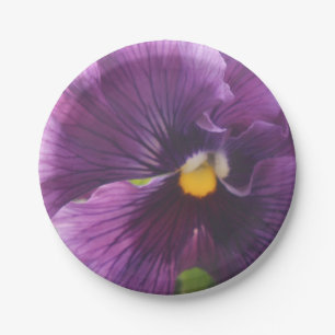 Assiettes En Carton Maîtresse