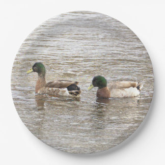 Assiettes En Carton Mallard Ducks Photo Paper Plates