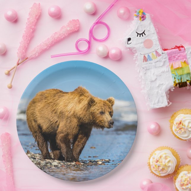 Assiettes En Carton Maman ours regarde ses deux enfants (Fête)