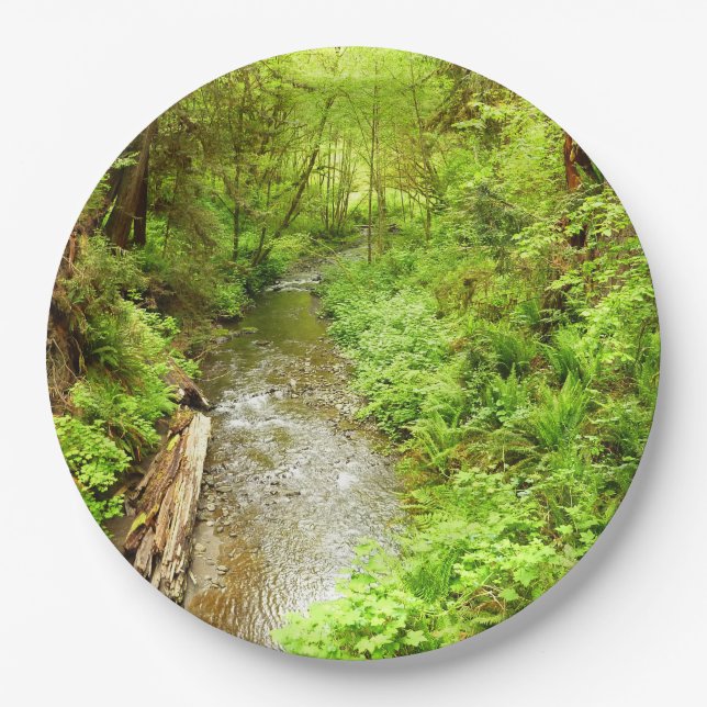 Assiettes En Carton Man Creek II perdu dans le parc national Redwood (Devant)