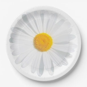 Assiettes En Carton marguerite blanche