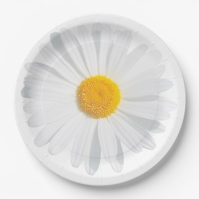 Assiettes En Carton marguerite blanche (Devant)