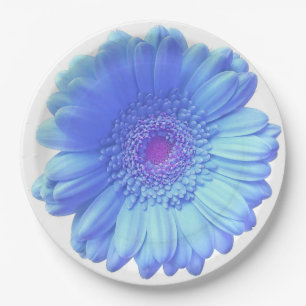 Assiettes En Carton Marguerite bleue de gerbera