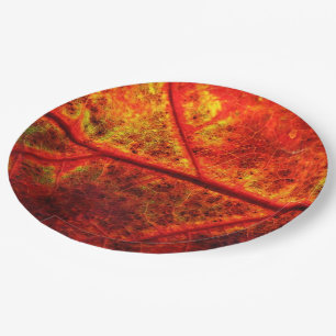 Assiettes En Carton Mariage d'automne rustique photo de feuille gros p