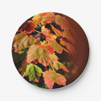 Assiettes En Carton Mariage de automne rustique Autumn Foliage Feuille