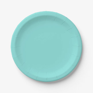 Assiettes En Carton Mauvaise couleur turquoise turquoise