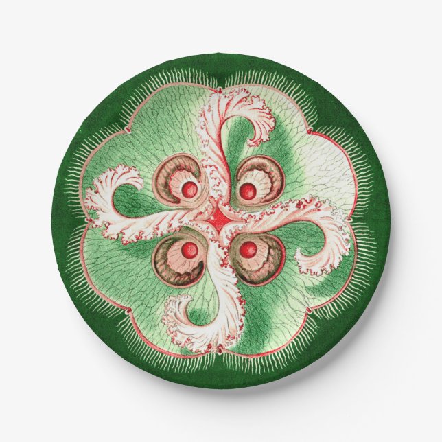 Assiettes En Carton Méduses d'Ernst Haeckel Discomedusae (Aurelia) (Devant)