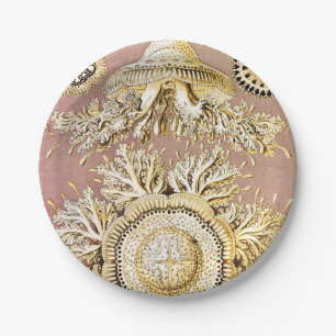 Assiettes En Carton Méduses, Discomedusae par Ernst Haeckel