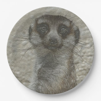 Assiettes En Carton meerkat métallique