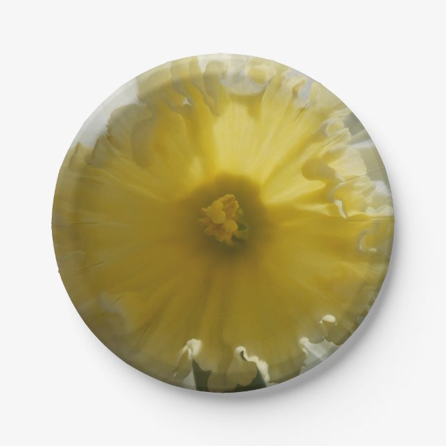 Assiettes En Carton Ménade (Devant)