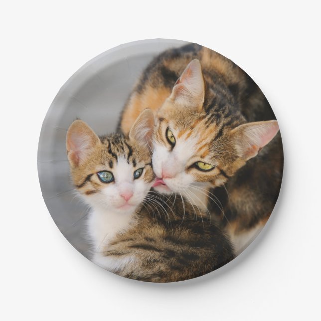 Assiettes En Carton Mère Chat Aime Cute Kitten, Fête (Devant)