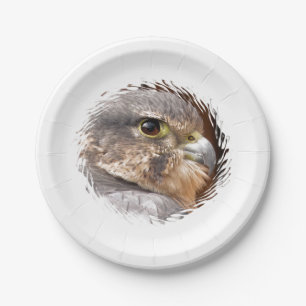 ASSIETTES EN CARTON MERLIN FALCON OISEAU DE PREY