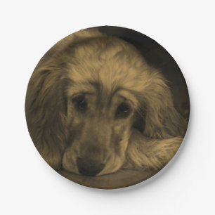Assiettes En Carton Mignonne Golden Retriever Dog Pose