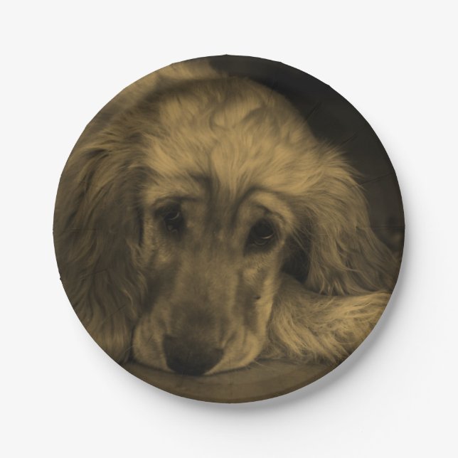 Assiettes En Carton Mignonne Golden Retriever Dog Pose (Devant)