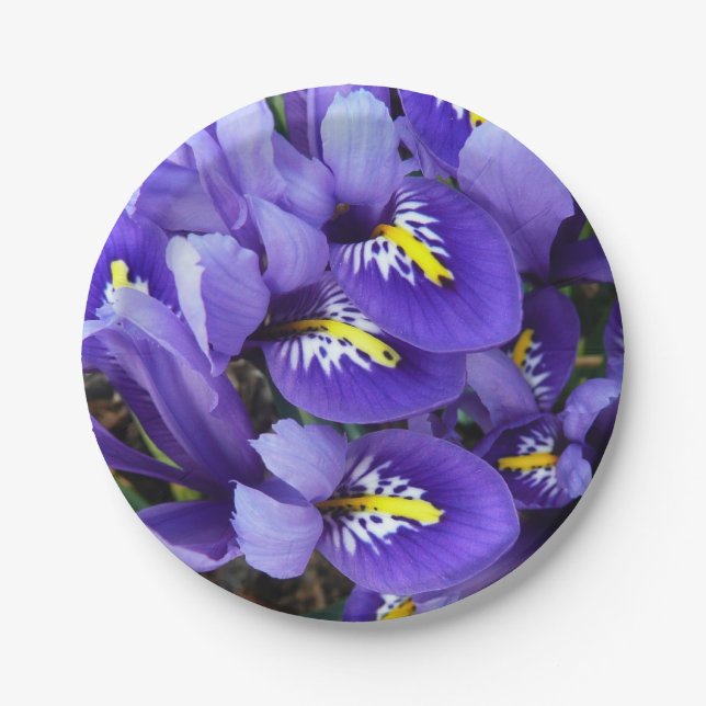 Assiettes En Carton Miniature Bleu Irises Printemps Floral (Devant)