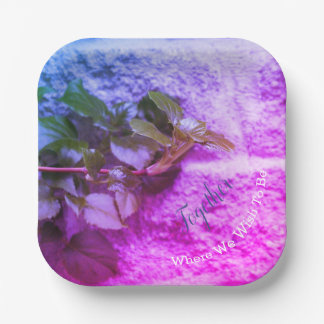 Assiettes En Carton Moderne Coloré et Carré